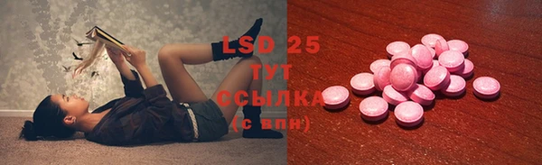 мдпв Бородино