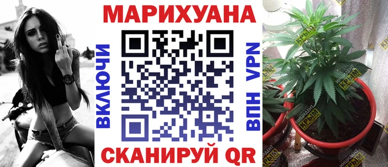 OMG ссылка  нарко площадка официальный сайт  Канабис сатива  Ессентукская 
